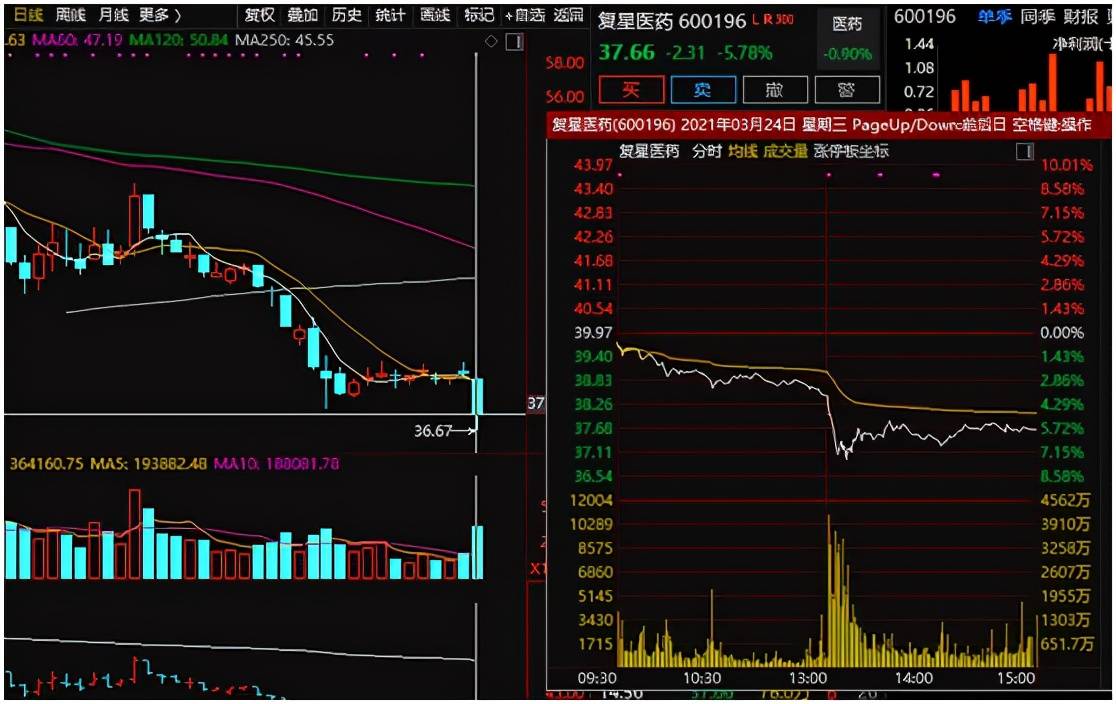 澳門馬正版免費原料,穩(wěn)健設計策略_NCW50.540跨平臺版