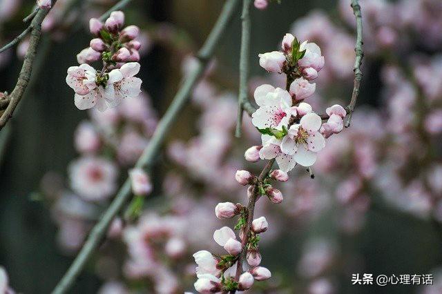 情感與時代的交織，默默深情最新章節(jié)