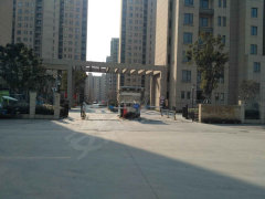 蘆灣家園最新動態(tài)，自然美景之旅，探尋內(nèi)心平和與寧靜的治愈之旅