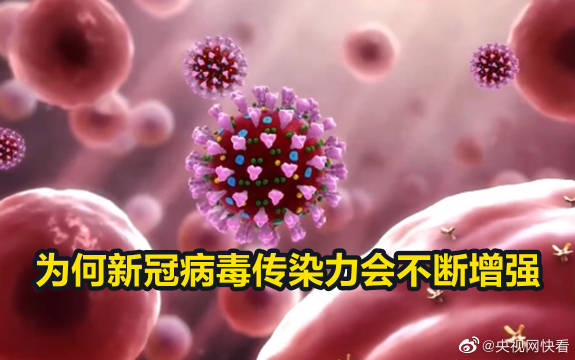 大自然的美景揭示，最新病毒強度揭秘