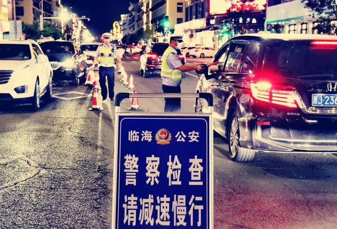 臨海招聘駕駛員，啟程探索自然美景之旅的駕駛之旅