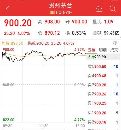 外資證券最新,外資證券最新，一場心靈與自然的奇妙旅行