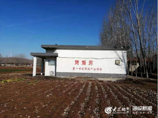 平邑出租房最新信息概覽，最新房源一覽無余