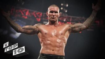 WWE 2014最新賽事，自然之旅與內(nèi)心的寧?kù)o尋找