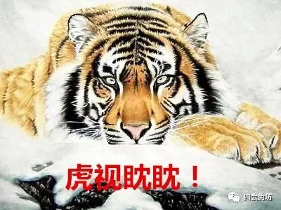 四虎緊急最新地址探索，小巷美食天堂與獨(dú)特環(huán)境之旅