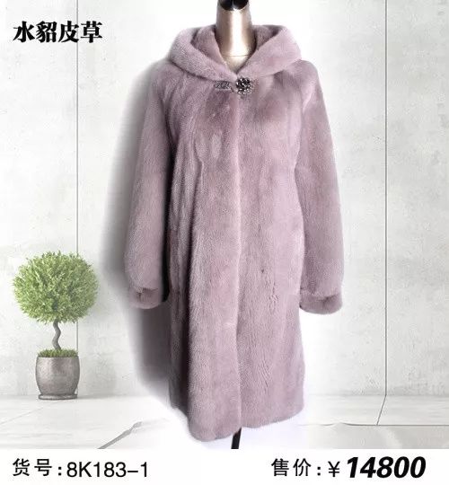 最新水貂價(jià)格揭秘，市場(chǎng)行情大揭秘！