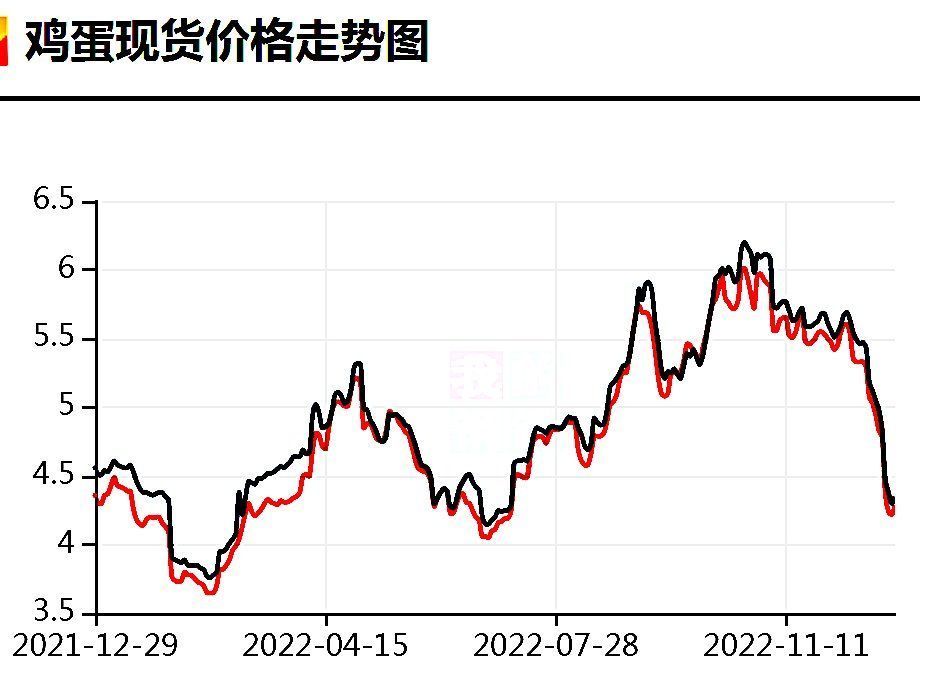 最新雞蛋價格走勢分析與觀點論述