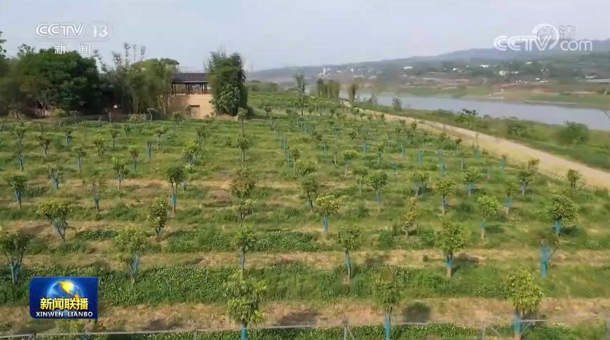 花椒直播守護(hù)功能開通全攻略，探尋守護(hù)功能的開啟之路